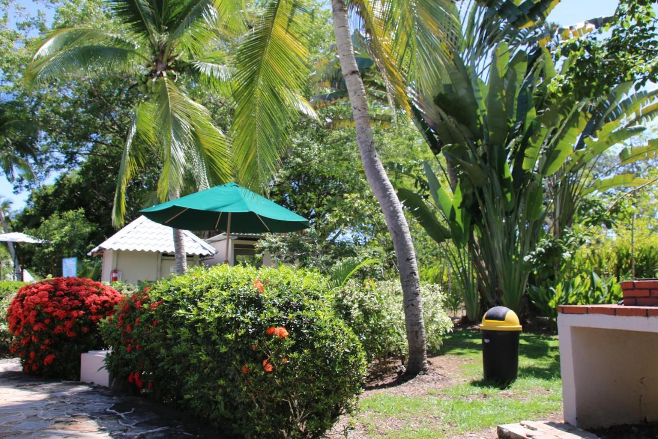 Tropical Bliss Pool Wi-Fi Bbq Near Quepos Manuel Antonio Apartment Exterior photo