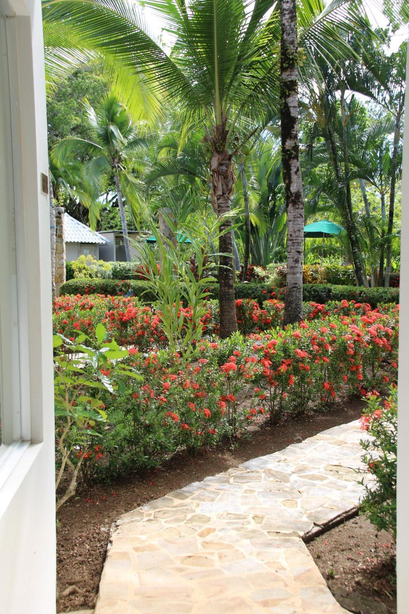 Tropical Bliss Pool Wi-Fi Bbq Near Quepos Manuel Antonio Apartment Exterior photo